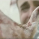 Image for article titled Five Ways You Probably Wouldn’t Die In a Vacuum, and One Way You Probably Would